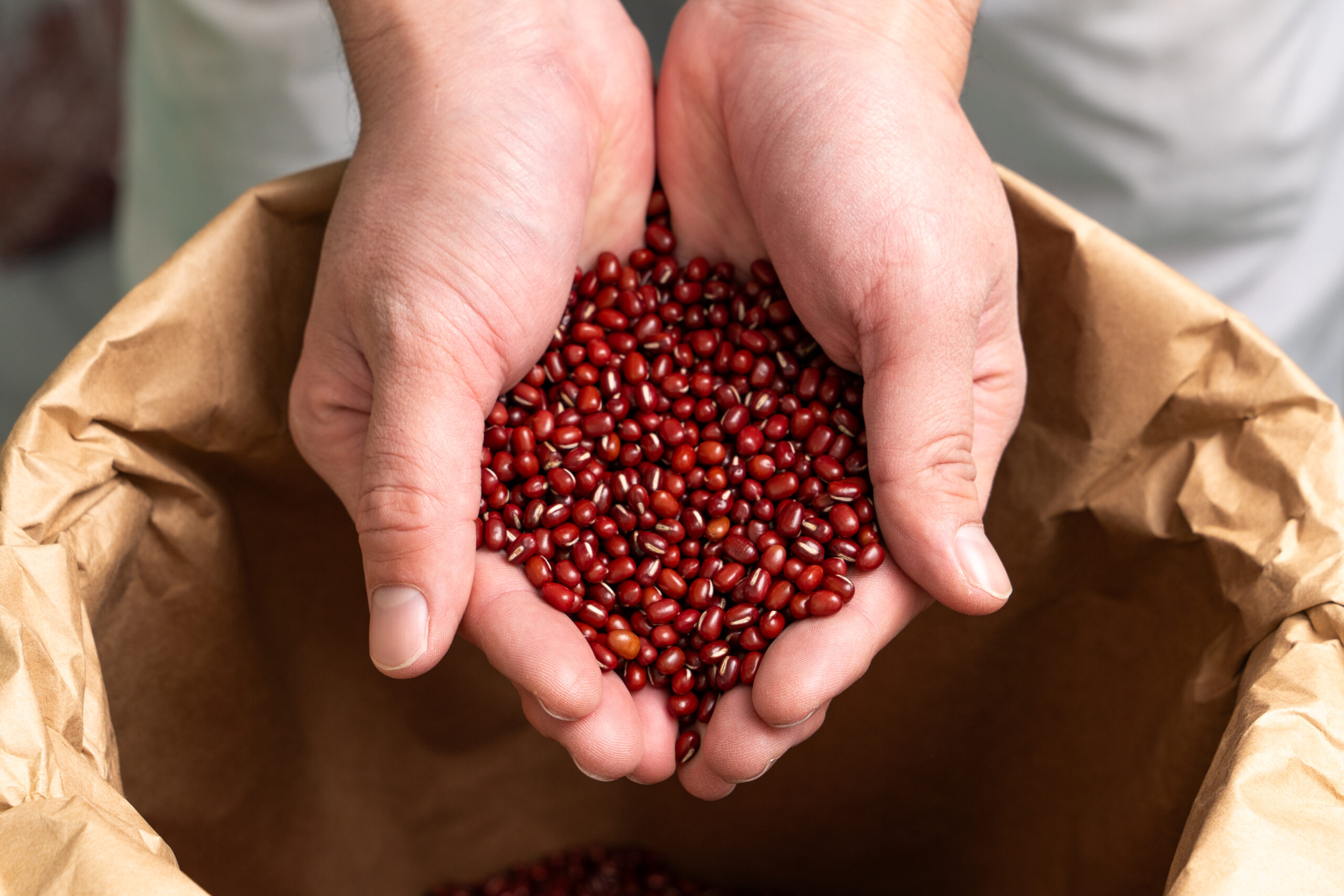 十勝の最高峰小豆 皇（かがやき）